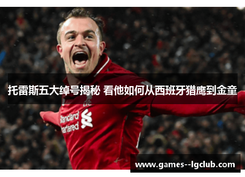 托雷斯五大绰号揭秘 看他如何从西班牙猎鹰到金童